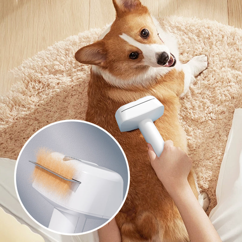 BowLift | FurComb – Easy, pain-free grooming for your pet's shiny coat