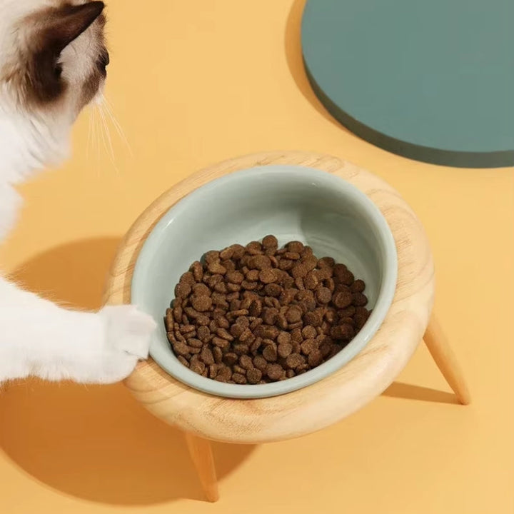 BowLift | Misha Ceramic Elevated Cat Bowl with Wooden Stand
