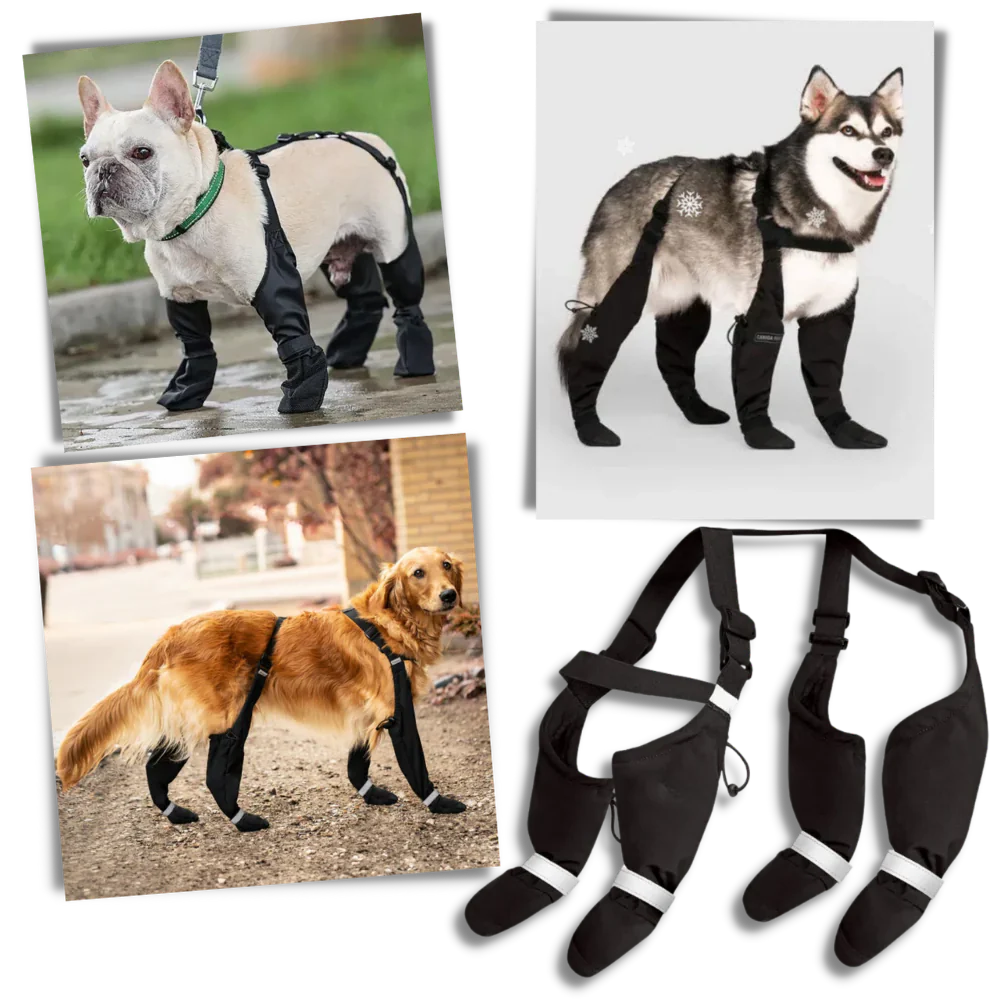 BowLift | Waterproof Dog Suspenders Boots