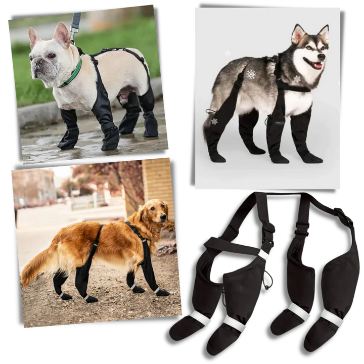 BowLift | Waterproof Dog Suspenders Boots