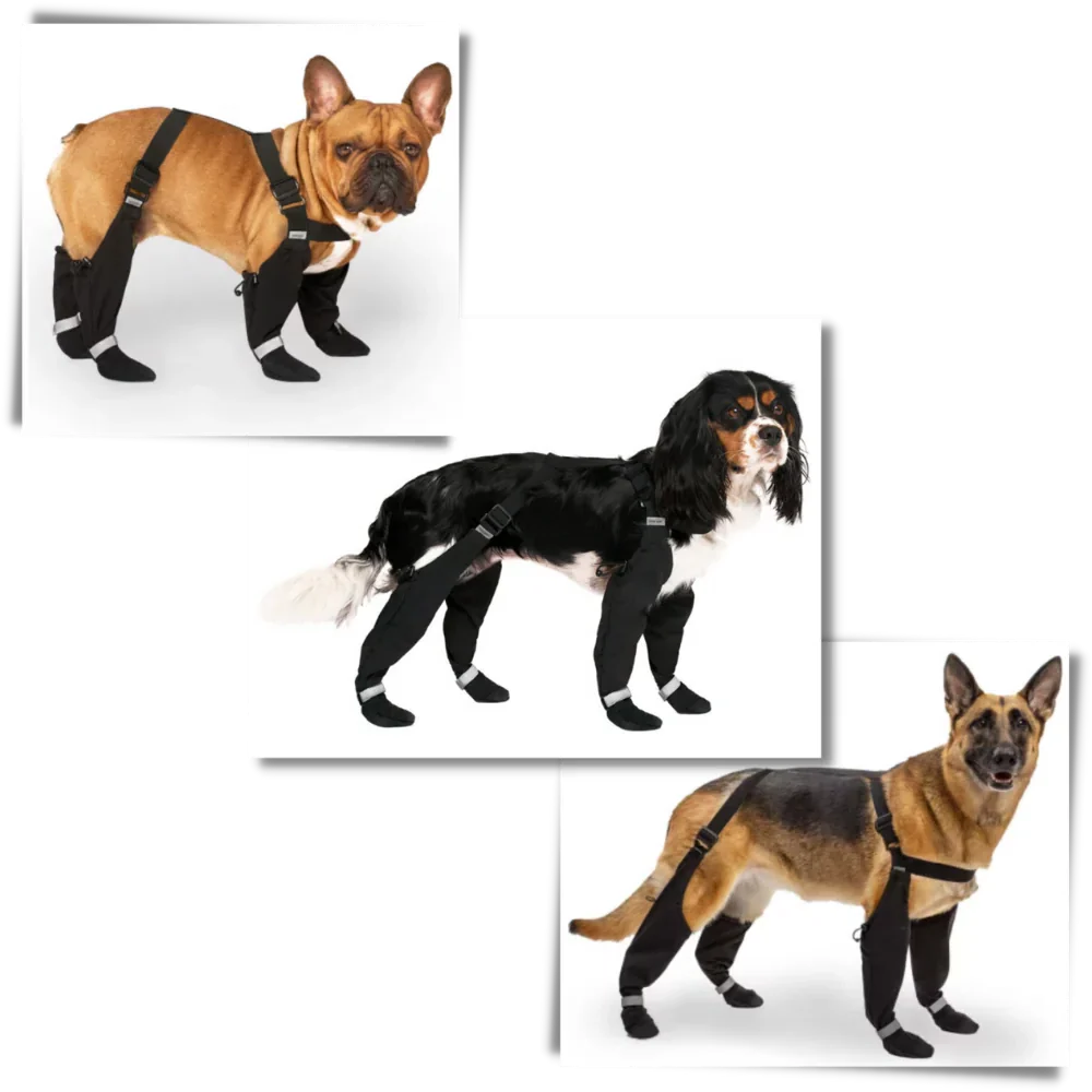 BowLift | Waterproof Dog Suspenders Boots