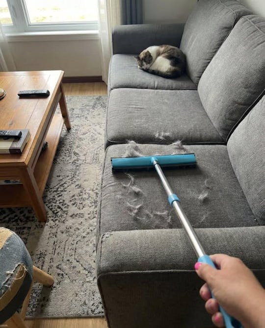 FurCleer — Put an end to pet hair and feel free in your home | Bowlift