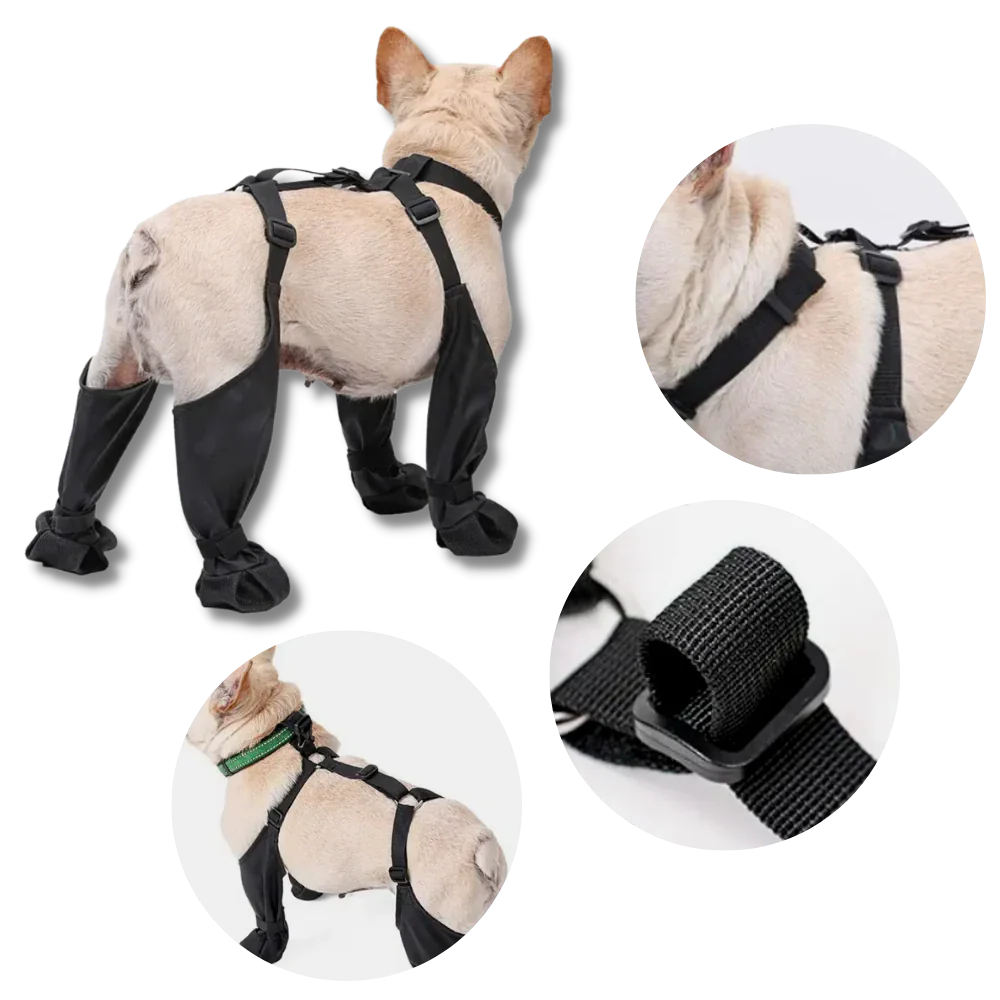 BowLift | Waterproof Dog Suspenders Boots