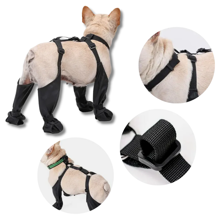 BowLift | Waterproof Dog Suspenders Boots