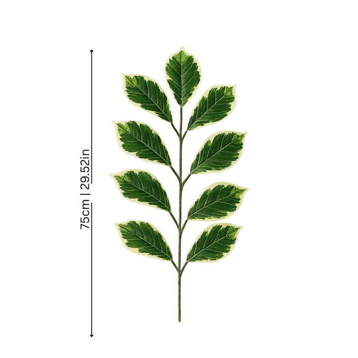 BowLift | FicusFake