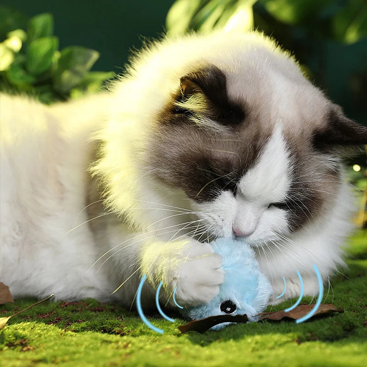 BowLift | – smarter interactive plush ball for cats | buy 1, get 1 free 🎁