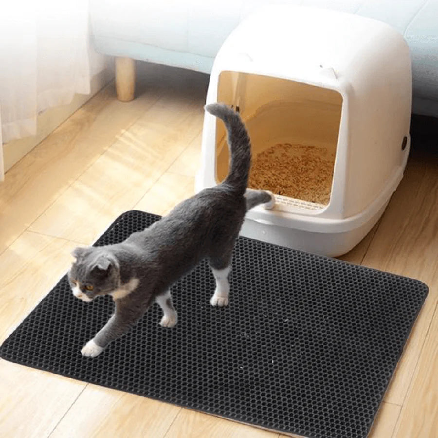BowLift | StreuChampion — Finally a cozy clean home without cat litter chaos!