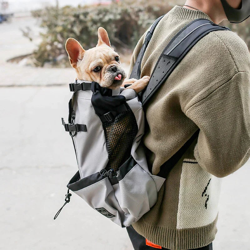 BowLift | Dog Backpack – Comfortable Carrying Bag for Medium Dogs with Safety Strap and Storage Pockets