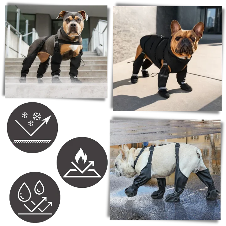 BowLift | Waterproof Dog Suspenders Boots