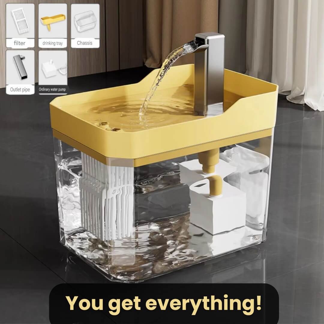 Cat Drinking Fountain 360° Sensor 1.5 L Quiet | Bowlift