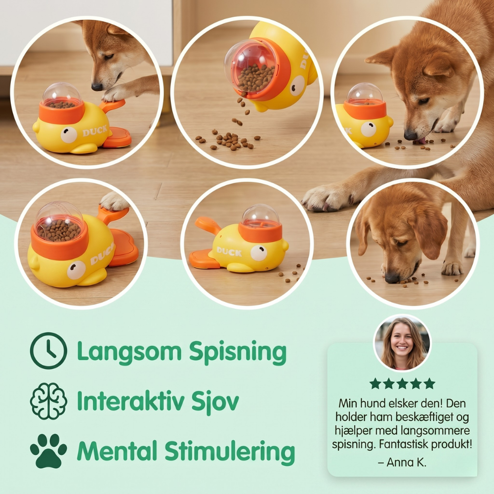 FeediDuck Slow Feeder for Dogs and Cats | Bowlift