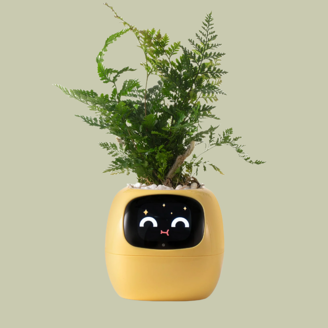 BowLift | VerdeGlow – Self-Watering Smart Plant Pot | Automatic Irrigation | Modern Indoor Planter