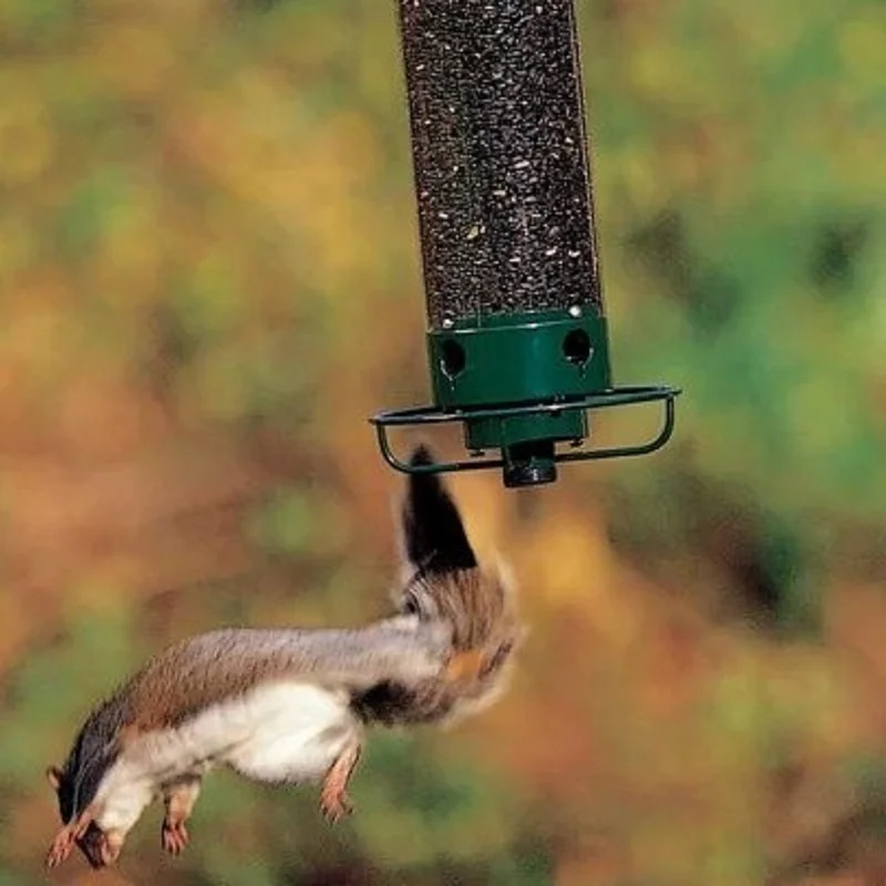 BowLift | Proof Bird Feeder