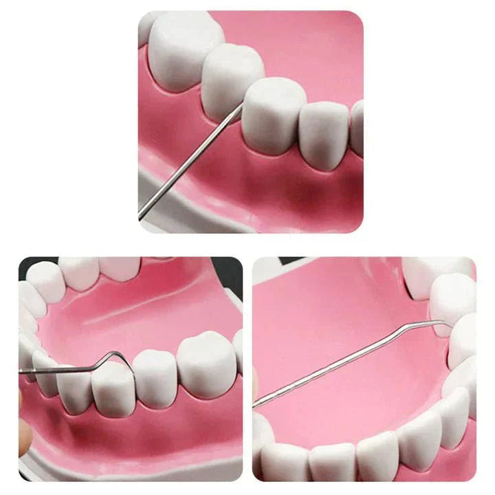 BowLift | Improve your oral hygiene - Maintenance kit - Stainless fabrics - Environmentally friendly and durable