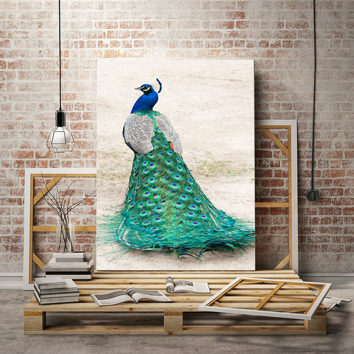 Skirted Elegant Peacock - Canvas Wall Art Painting | Bowlift