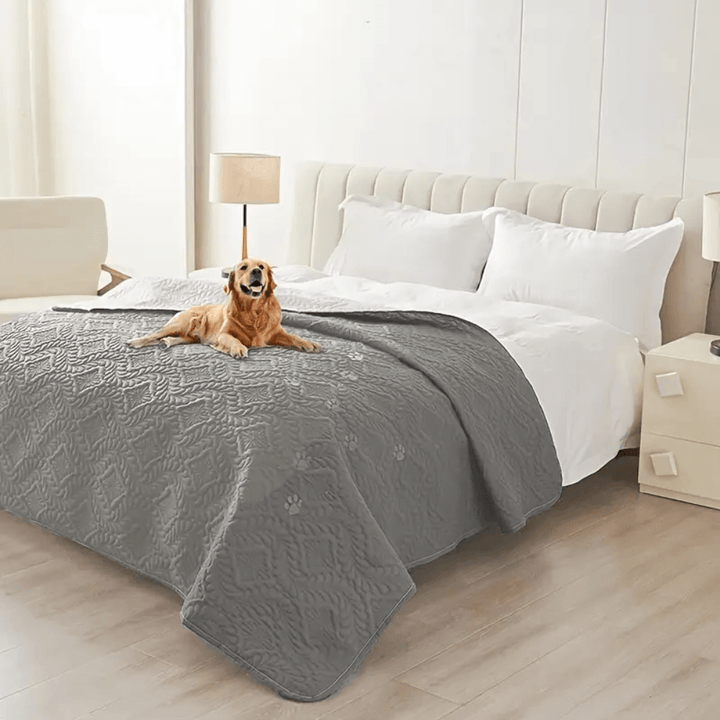 Versatile Moisture-Proof Dog Mat