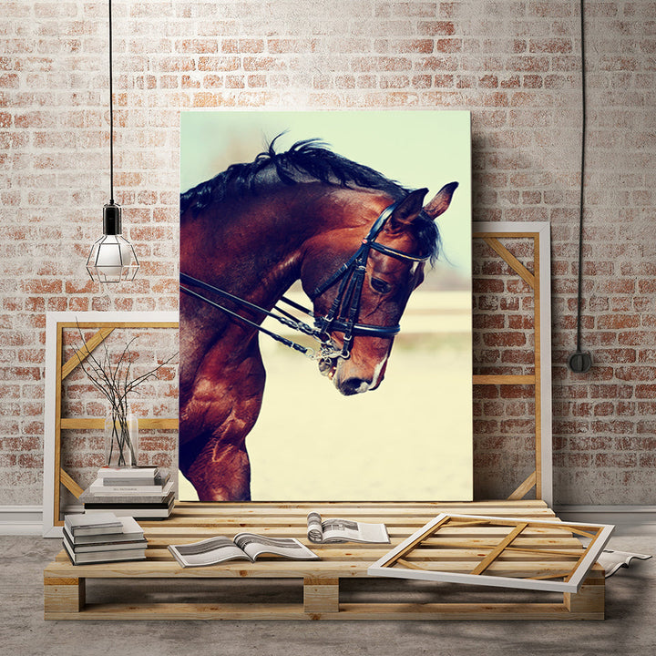 Graceful Haltered Horse - Canvas Wall Art Painting | Bowlift