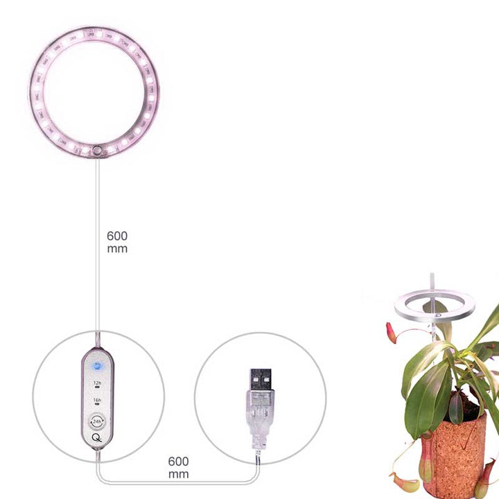 BowLift | Grow lights for indooe plants
