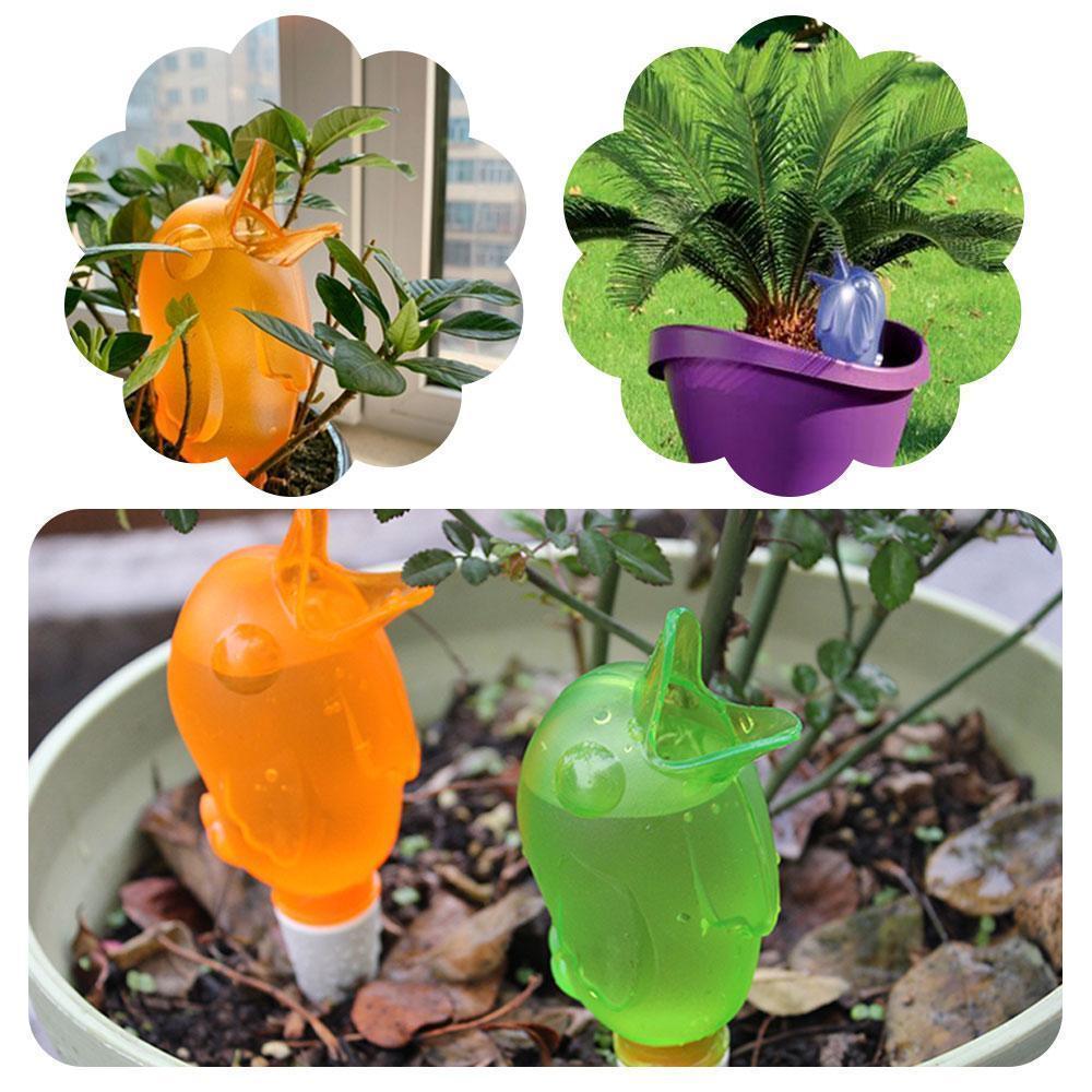 BowLift | Automatic Little Bird Watering Device
