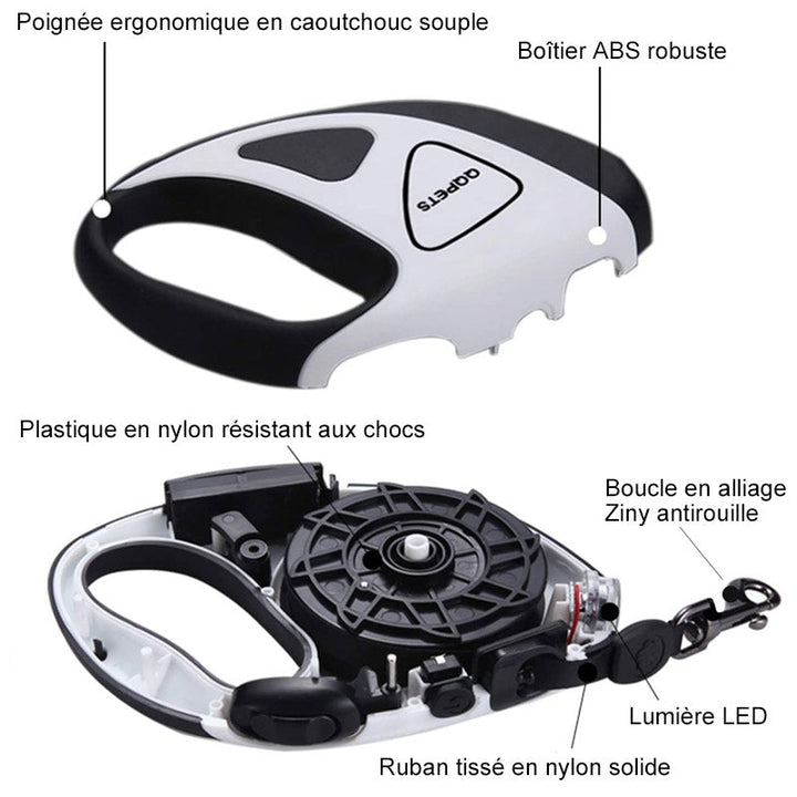 LED Leash for Pets retractable | Bowlift