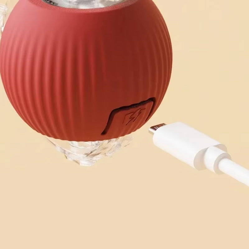 BowLift | Indoor Cat interactive ball