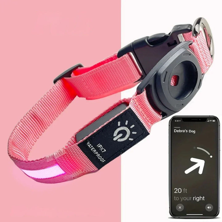 BowLift | Flashing Dog Collars – Waterproof LED Light Up Dog Collar with USB Rechargeable Glow, Dog Collars Illuminated for Night Safety, All Sizes