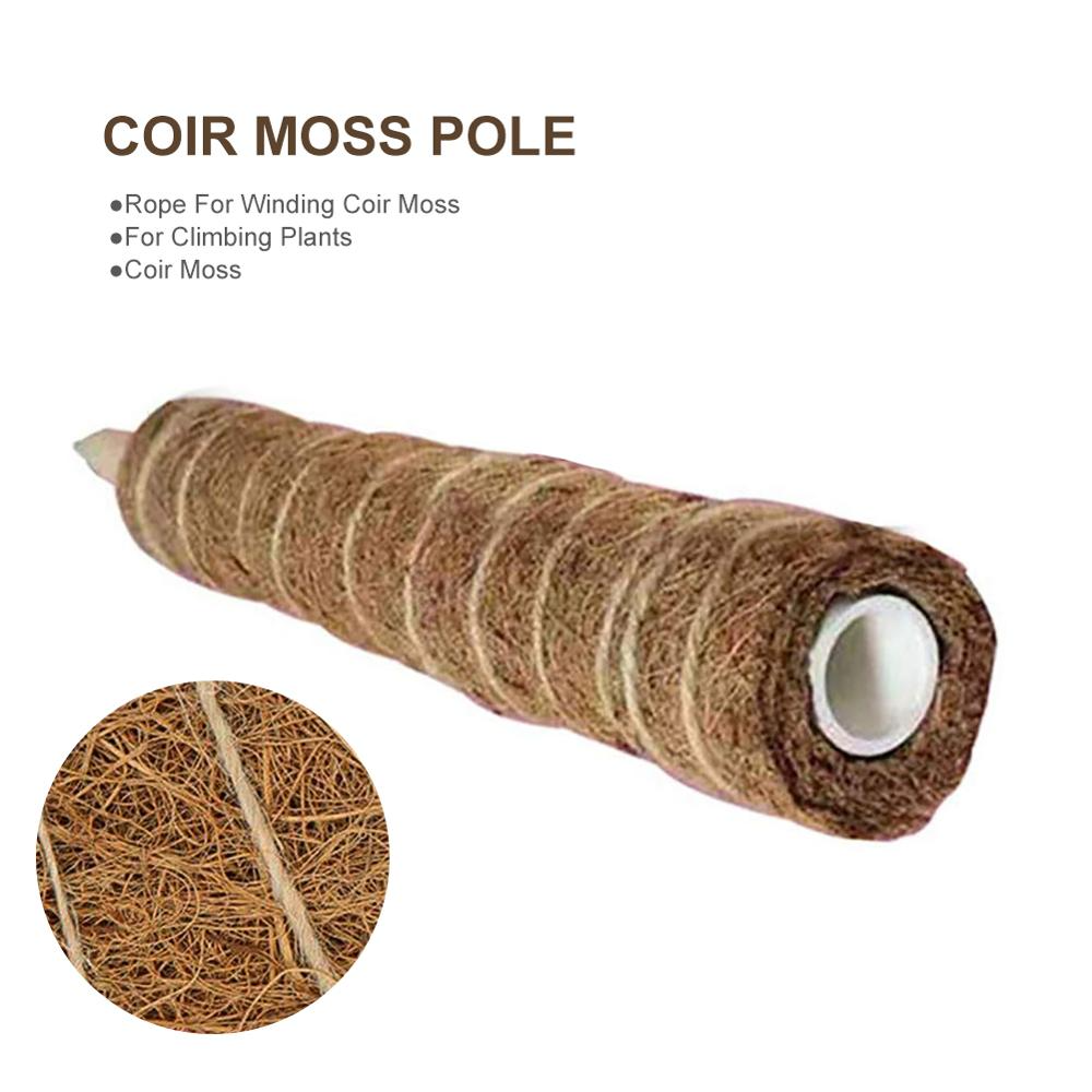 BowLift | Coconut moss stick for climbing plants – Natural climbing aid for houseplants and garden