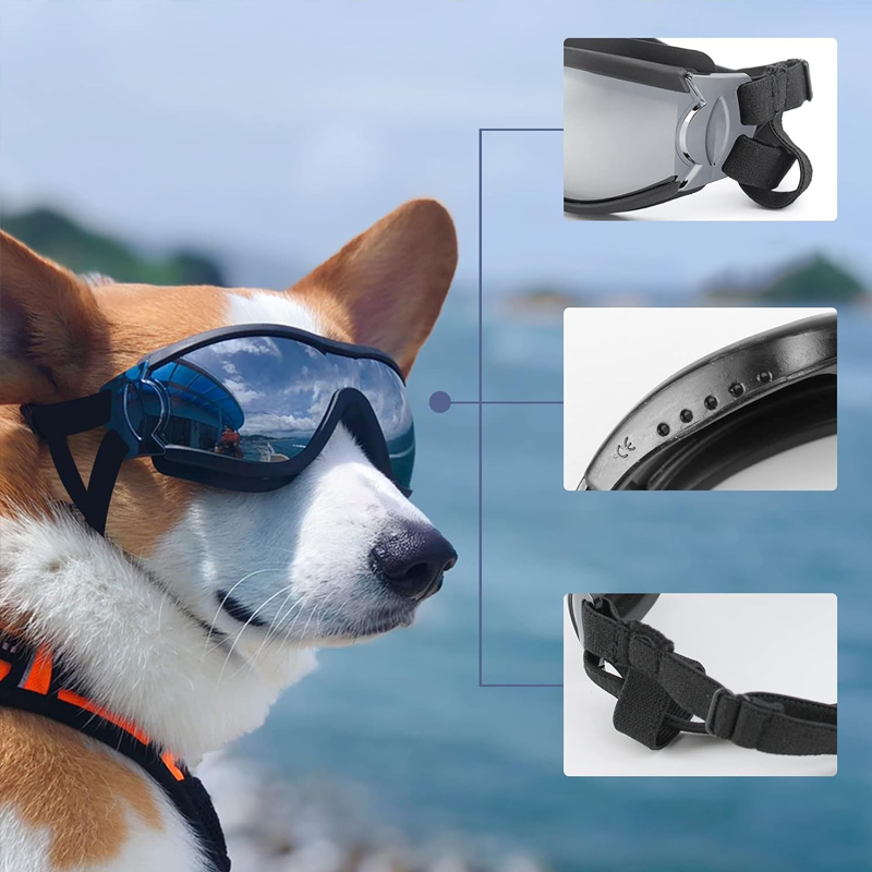 BowLift | Outdoor Protection Glasses for Dogs