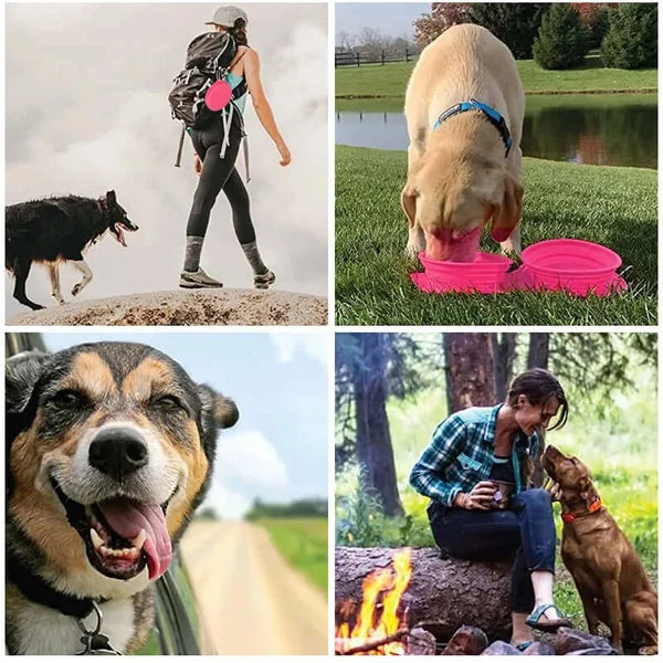 BowLift | Travel Dog Diner Set