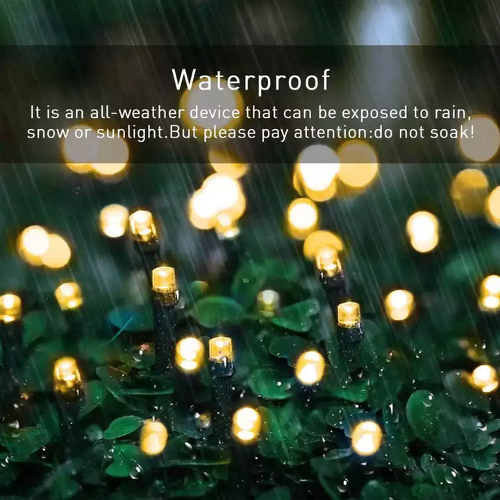 BowLift | Outdoor Solar String Lights