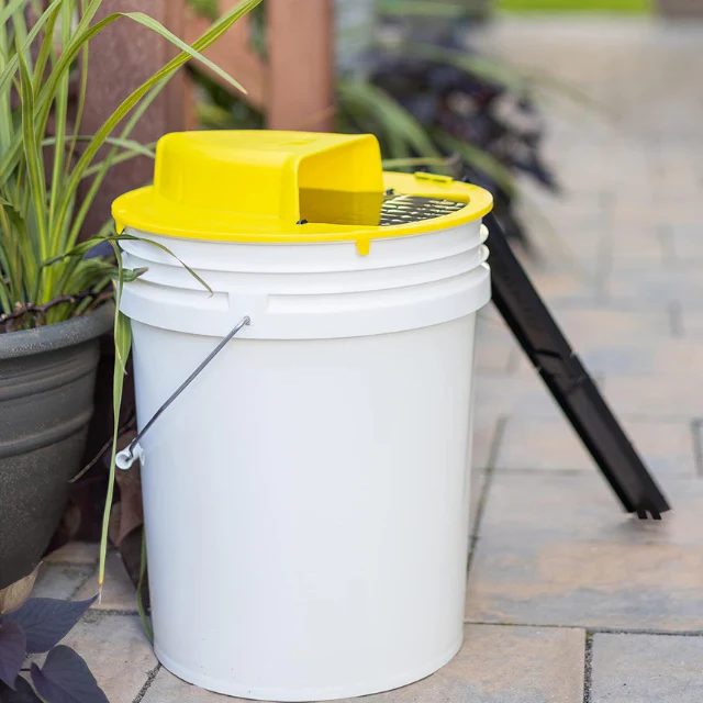 Reusable live trap for mice & rats | Bowlift