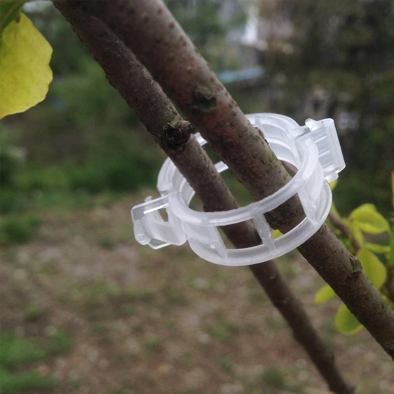 Plastic ring for holding plants | Bowlift
