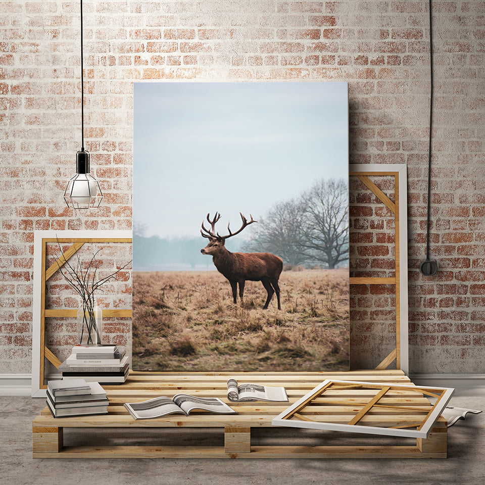 Regal Deer in the Plains - Canvas Wall Art Painting | Bowlift