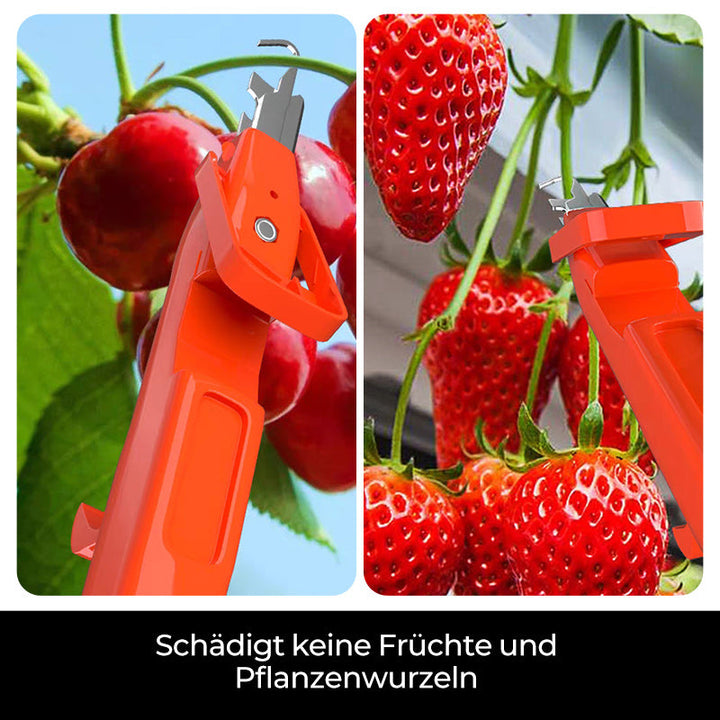Efficient Pepper Picking Tools | Bowlift