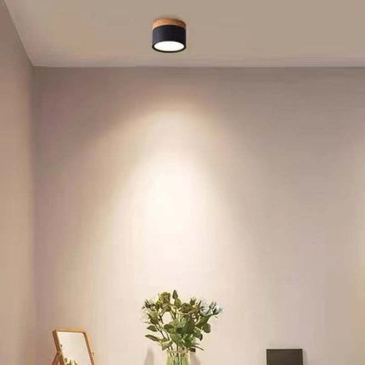 Morandi Style Modern LED Ceiling Lamp - LumiModo | Bowlift