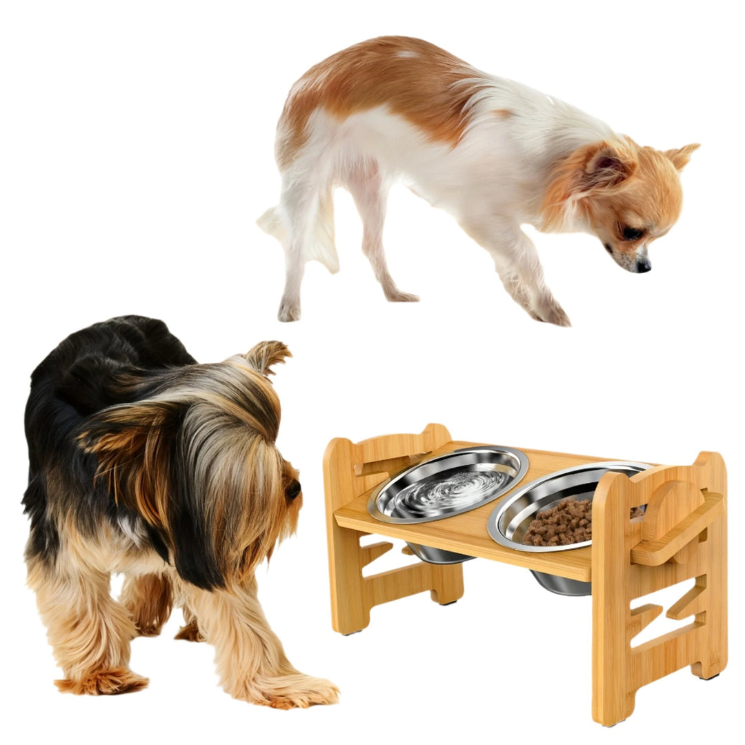 Elevated non-slip dog bowl stand with double bowls Bowlift