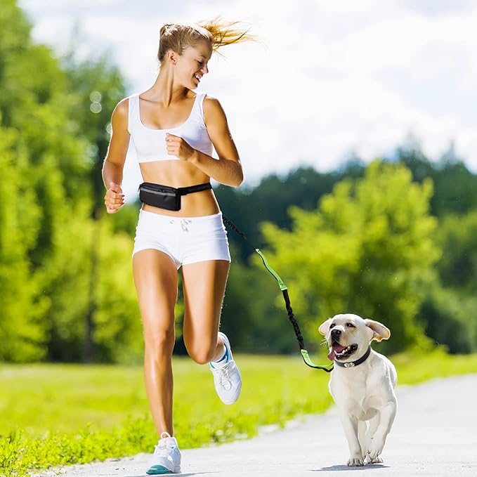 FlowLeash — Experience gentle control and relaxed walks without jerks! | Bowlift