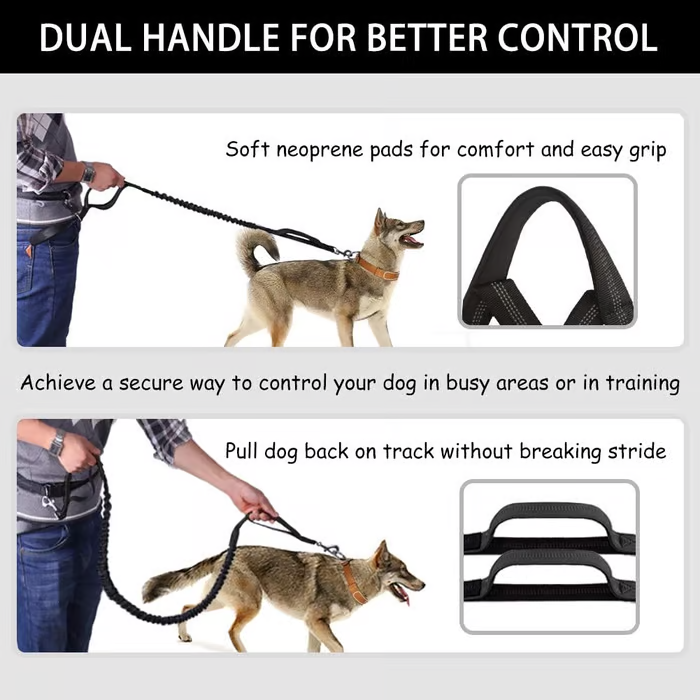 BowLift | PawsFree Pro – Enjoy stress-free walks with your dog