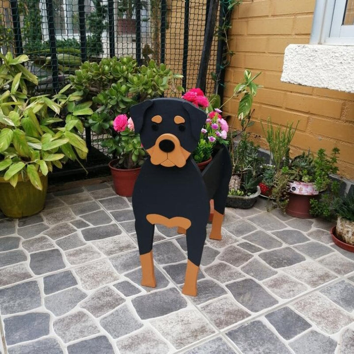 BowLift | PawPlanter Green Pet Oasis