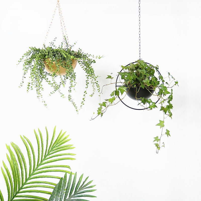 BowLift | Decorative Iron Hanging Flower Pot - Swinging Wall Planter Basket for Home