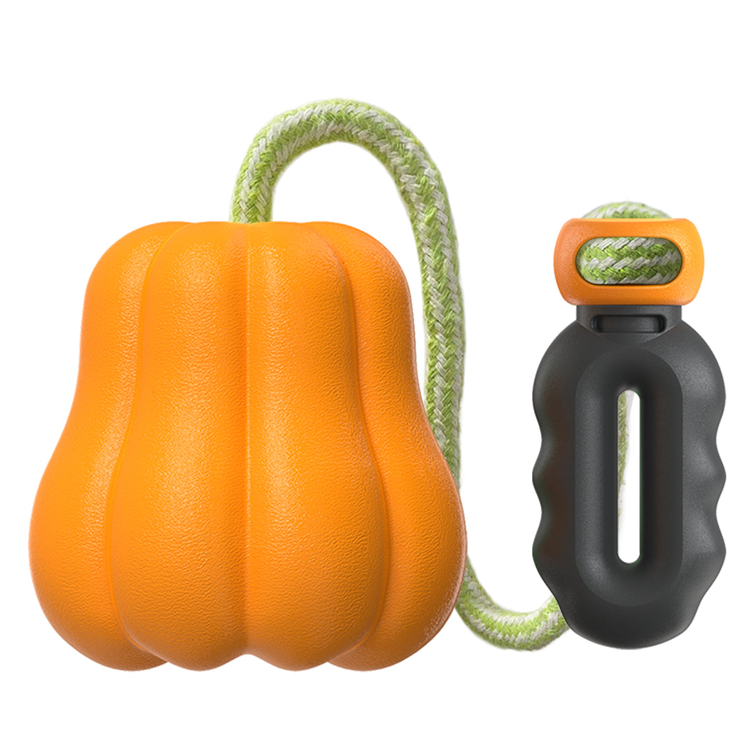 Pumpkin Throw Ball – Outdoor Chew & Fetch Toy for Dogs