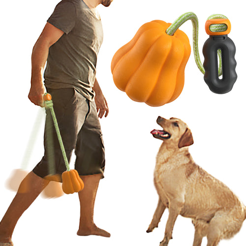Pumpkin Throw Ball – Outdoor Chew & Fetch Toy for Dogs