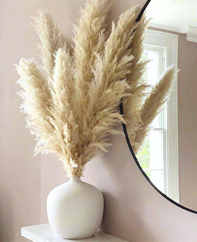 BowLift | 80 cm natural, real dried pampas grass bouquet (white / beige / gray) │ fluffy feather for modern boho home decor