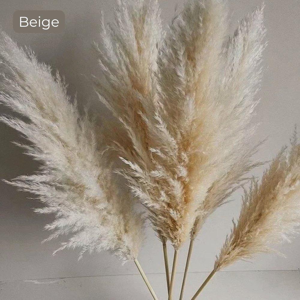 BowLift | 80 cm natural, real dried pampas grass bouquet (white / beige / gray) │ fluffy feather for modern boho home decor