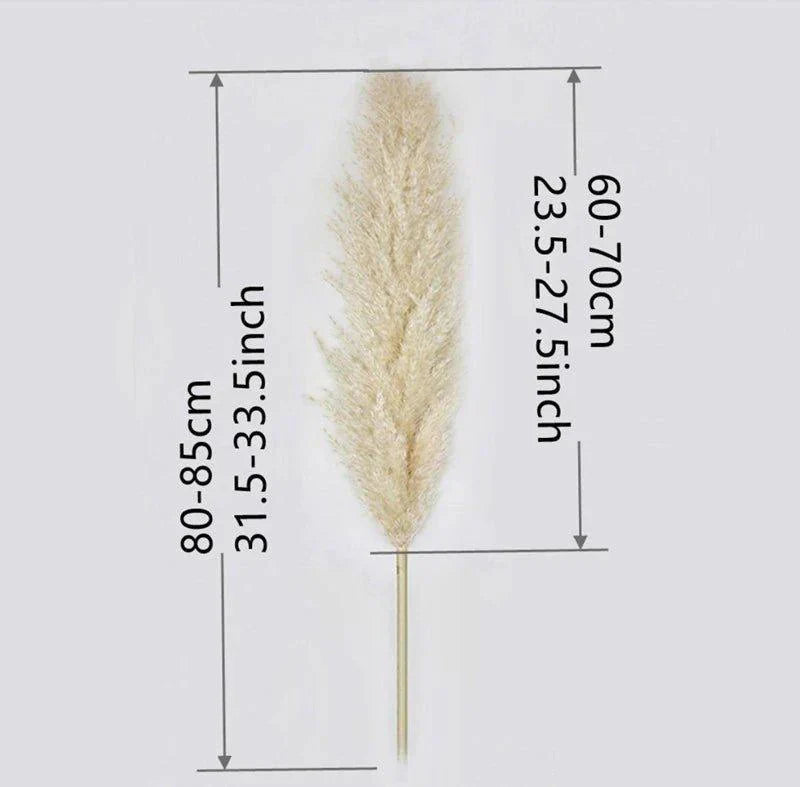 BowLift | 80 cm natural, real dried pampas grass bouquet (white / beige / gray) │ fluffy feather for modern boho home decor