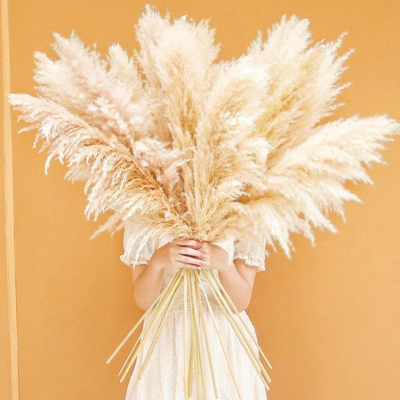 BowLift | 80 cm natural, real dried pampas grass bouquet (white / beige / gray) │ fluffy feather for modern boho home decor
