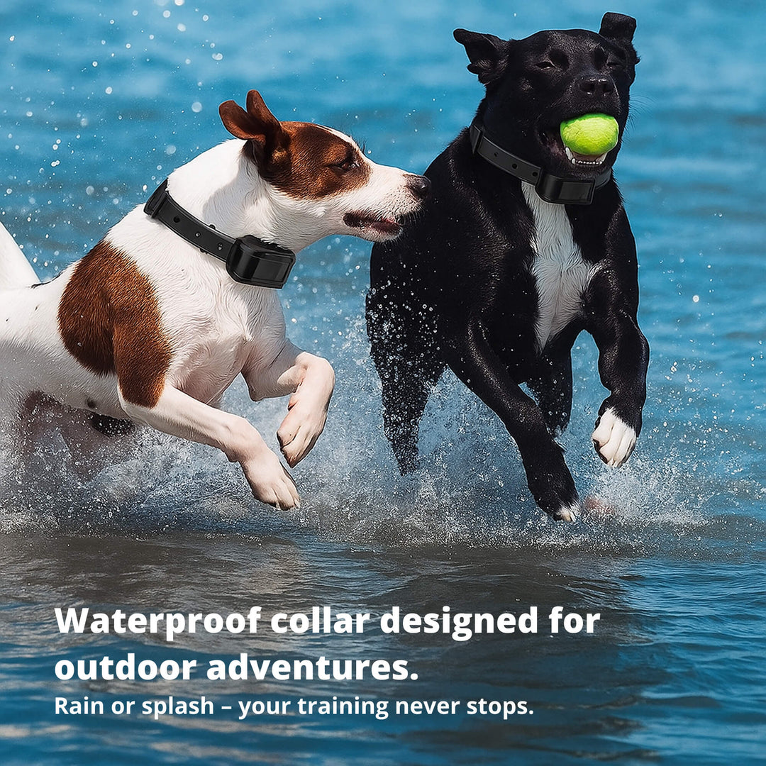 BowLift | 800M Rechargeable Electric Dog Training Collar | Waterproof, Remote Control & Ideal for Effective Dog Training