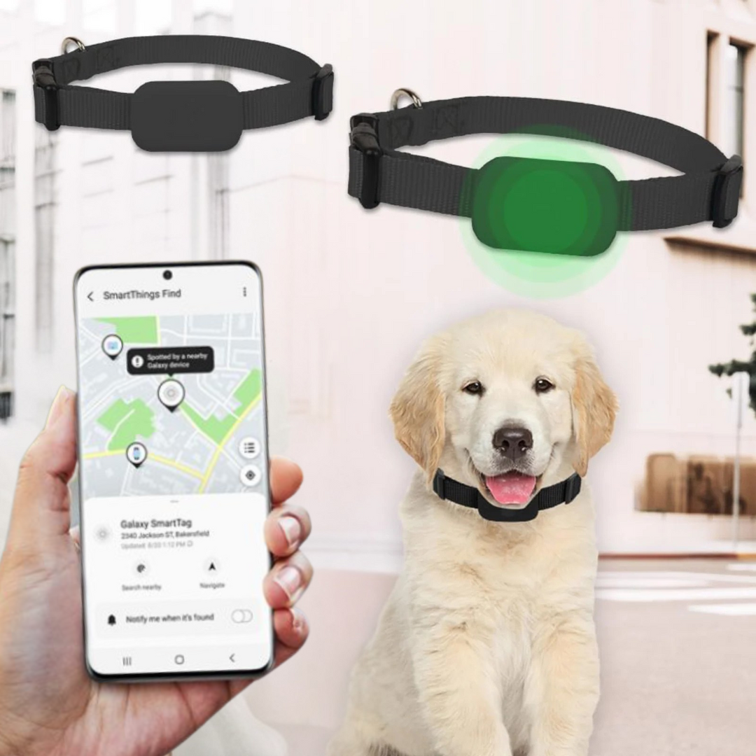 BowLift | AnimalTracker Mini – Smart Dog and Cat Bluetooth Collar Tracker