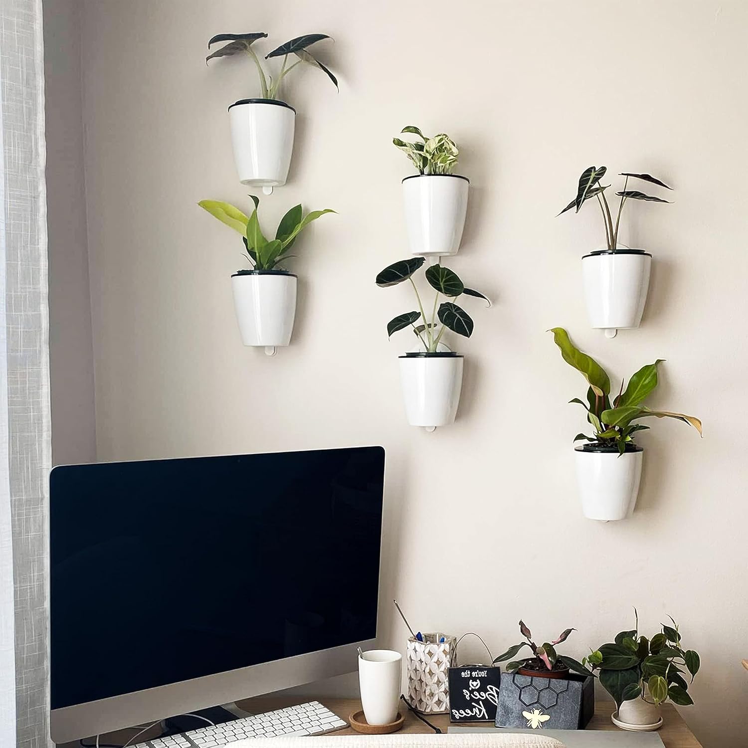 BowLift | Self-watering hanging plant pot – Modern flower pot for wall mounting