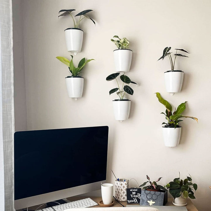 BowLift | watering flower pot